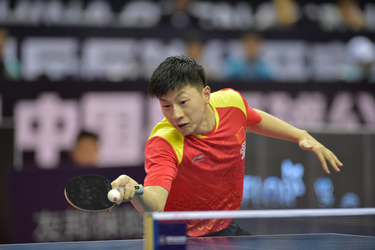 正赛资格 正赛资格